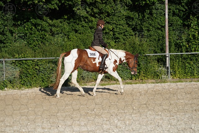 sA9K06043.JPG